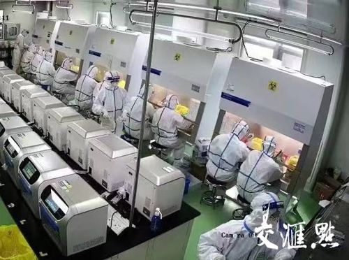 gps轉(zhuǎn)運(yùn)箱 核酸檢測小程序 戰(zhàn)疫儀器共享 科技助力江蘇抗疫