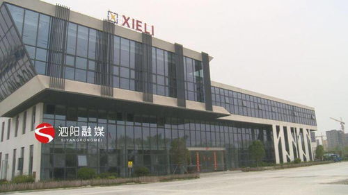 江蘇泗陽協(xié)力輕工機(jī)械 科技創(chuàng)新驅(qū)動(dòng)企業(yè)高質(zhì)量發(fā)展