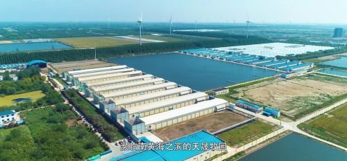 敬請期待江蘇天成科技集團微紀錄片正式播出