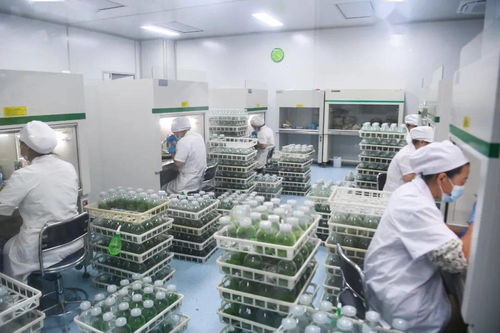 曹路寶深入響水縣開展 兩在兩同 建新功行動(dòng)時(shí)強(qiáng)調(diào) 身體走進(jìn)基層,思想走進(jìn)群眾,工作走進(jìn)實(shí)際,讓黨旗高高飄揚(yáng)在鹽阜大地基層一線 項(xiàng)目